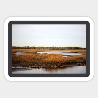 Oyster Beds Sticker